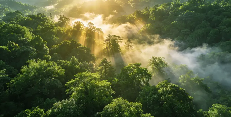 濮阳肺癌11基因检测组织版图片1