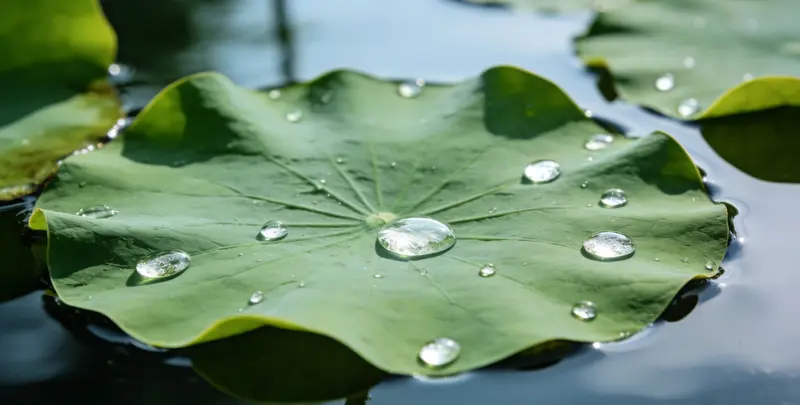 濮阳乳腺癌21基因mRNA表达分析图片1