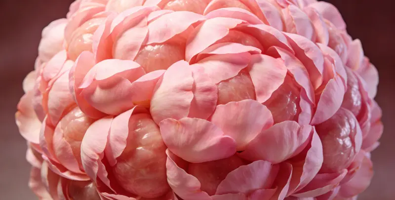 濮阳BRCA1/2乳腺癌卵巢癌基因检测图片1