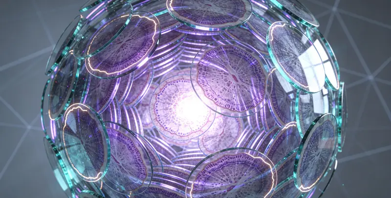 实体瘤151基因检测图4